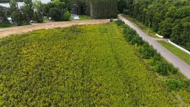 ParcelB Island View Drive, Mora MN, 55051 land for sale