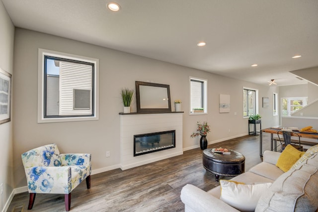 living room with dark hardwood / wood-style flooring