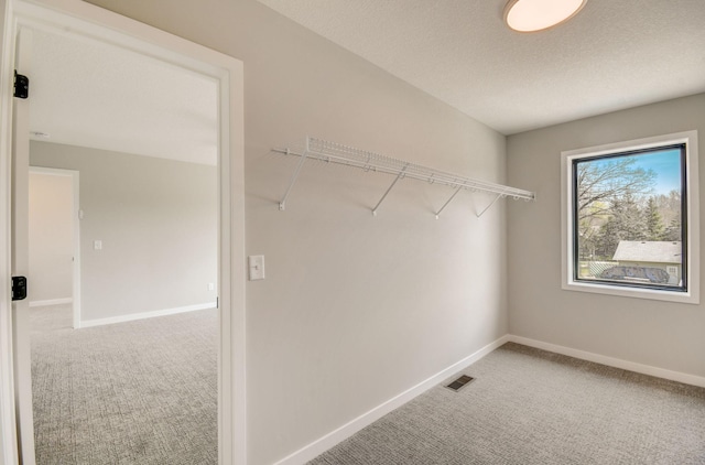 walk in closet featuring carpet flooring