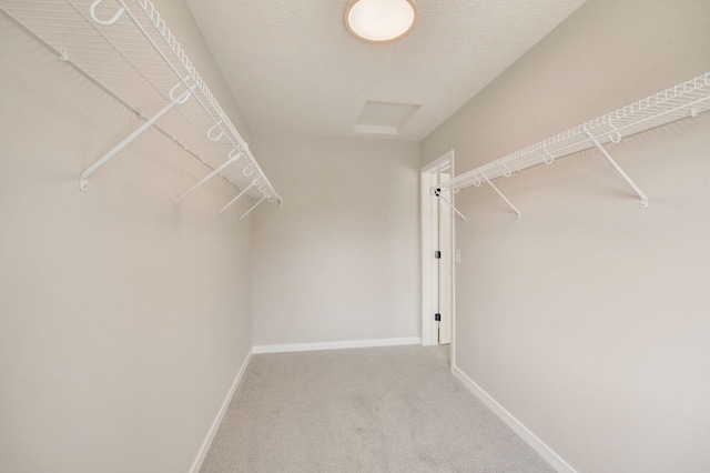 spacious closet with carpet floors