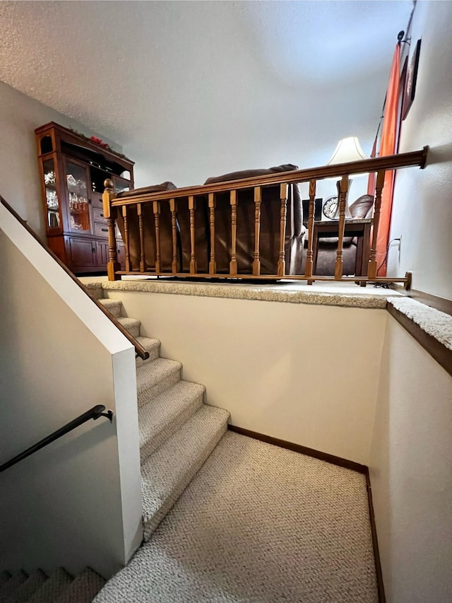 stairway featuring carpet flooring