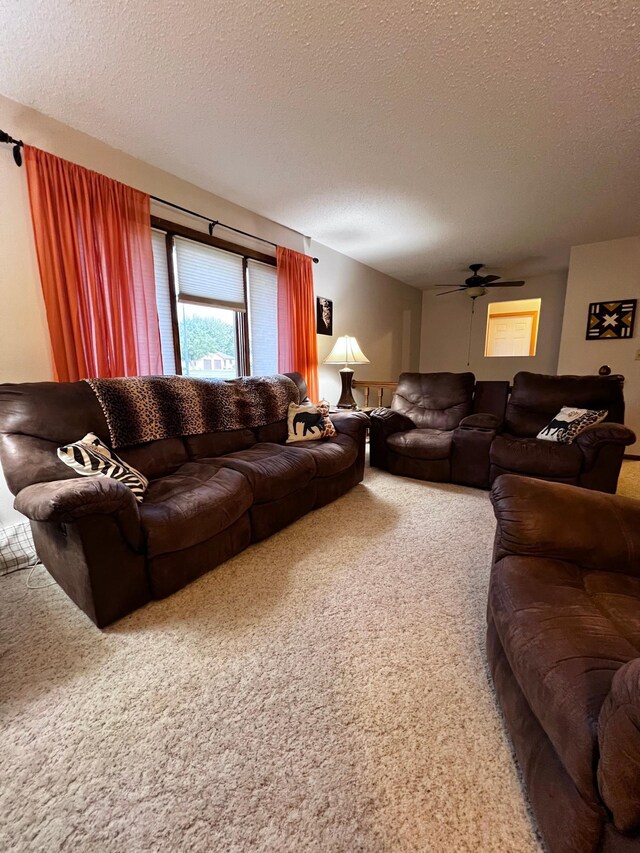 137 Belleville Ct, Thief River Falls, MN 56701 - photo 11