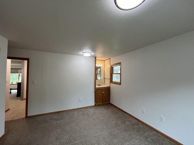 empty room featuring light colored carpet and sink