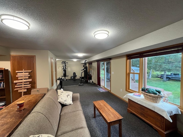 carpeted living room with a textured ceiling