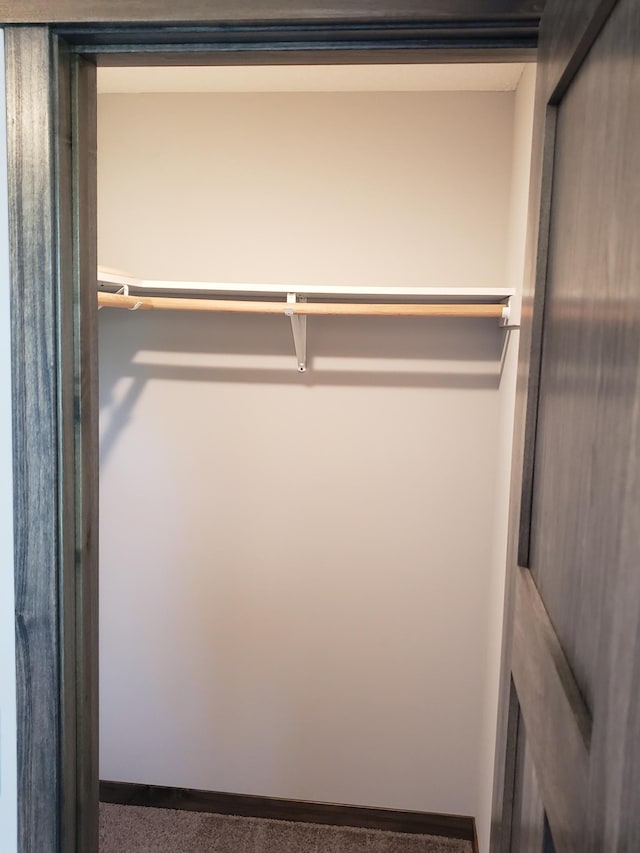 view of closet