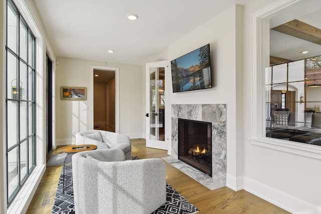 living room with hardwood / wood-style flooring and a high end fireplace