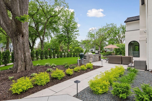 view of home's community with area for grilling, outdoor lounge area, a patio area, and a lawn