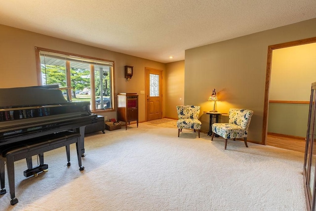 sitting room featuring a textured ceiling and light colored carpet