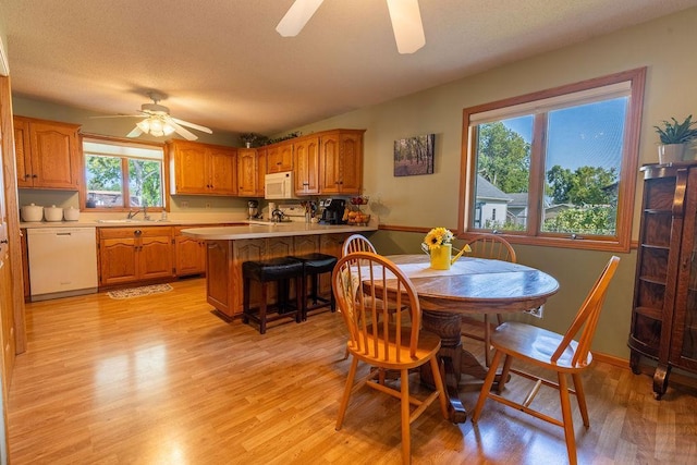 dining area with sink, ceiling fan, and light hardwood / wood-style flooring