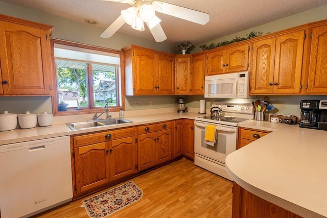 kitchen featuring light hardwood / wood-style flooring, white appliances, a textured ceiling, ceiling fan, and sink