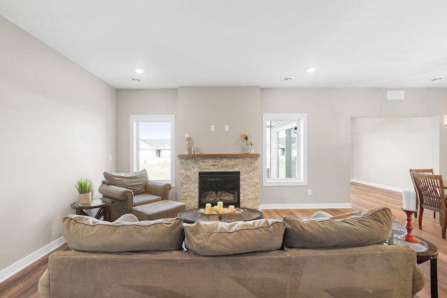 living room with a fireplace and wood-type flooring