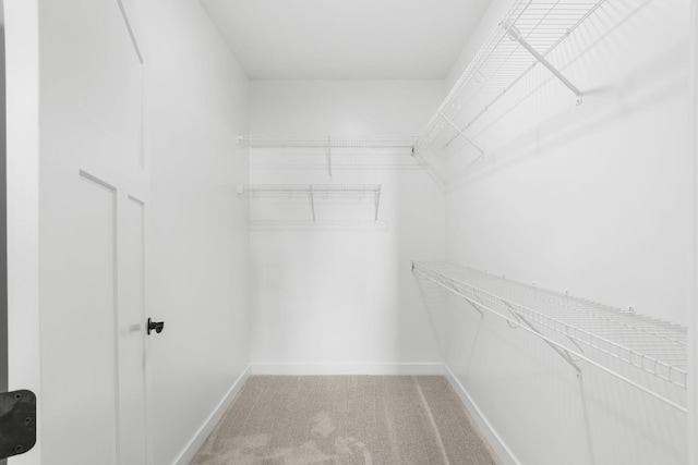 walk in closet with carpet flooring