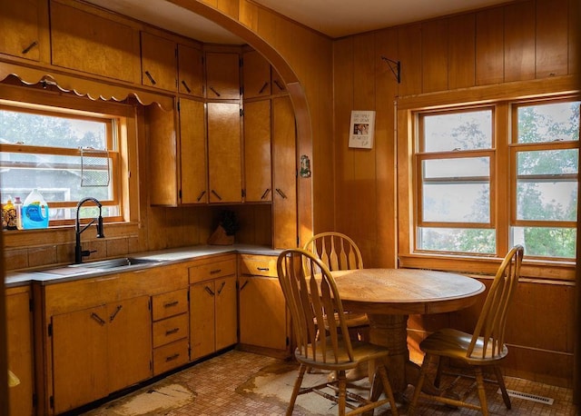 kitchen with plenty of natural light, sink, and wooden walls