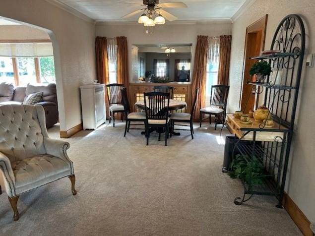 207 6th St, Montevideo, MN 56265 - living area featuring crown molding, carpet flooring, ceiling fan, and arched walkways