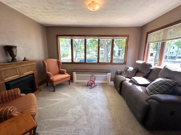 207 6th St, Montevideo, MN 56265 - living room with plenty of natural light, radiator heating unit, light colored carpet, and a fireplace