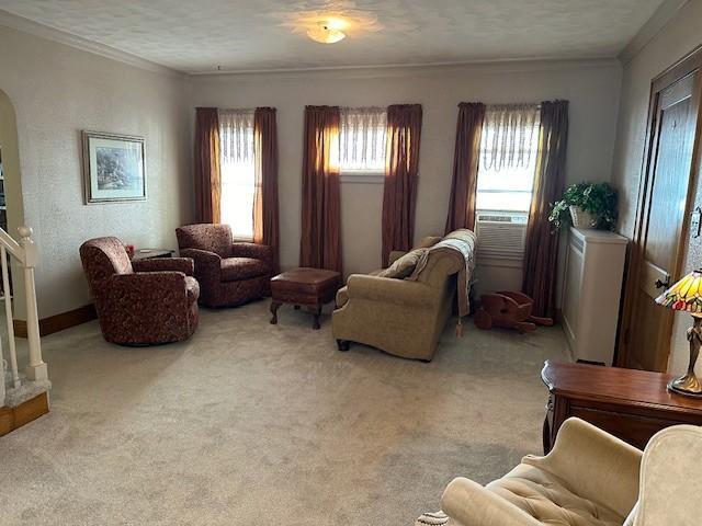 207 6th St, Montevideo, MN 56265 - living area featuring crown molding, carpet floors, and arched walkways