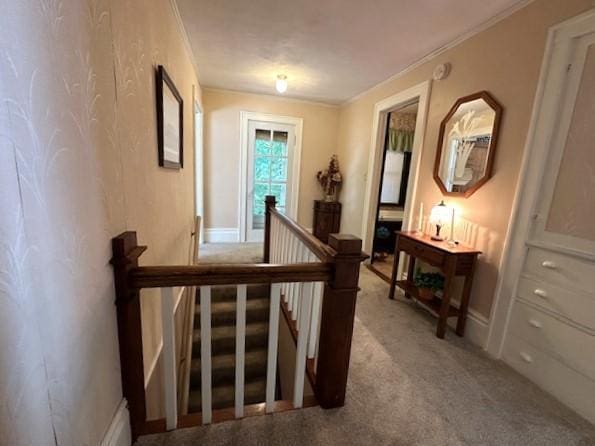 207 6th St, Montevideo, MN 56265 - corridor featuring carpet floors, an upstairs landing, and ornamental molding