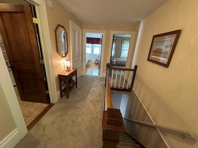 207 6th St, Montevideo, MN 56265 - hall featuring ornamental molding, carpet flooring, and an upstairs landing