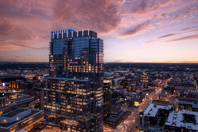 255 Hennepin Ave Unit 3402, Minneapolis, MN 55401 - city view