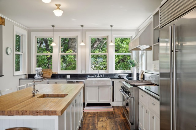 kitchen with high quality appliances, white cabinetry, decorative light fixtures, a center island, and dark hardwood / wood-style floors