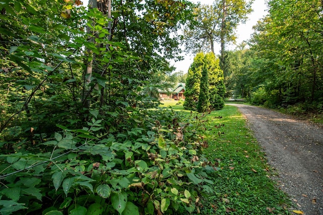 view of road