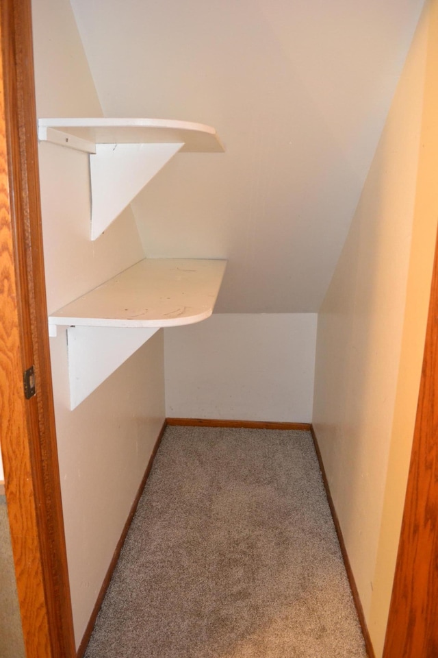 walk in closet featuring vaulted ceiling and light carpet