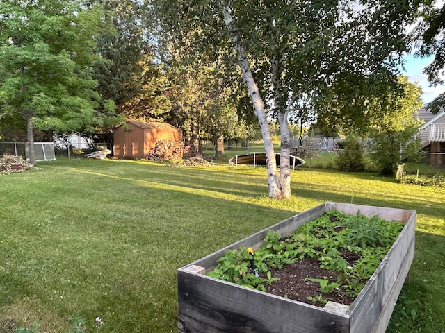 view of yard featuring a storage unit