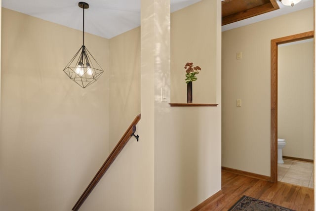 stairs featuring hardwood / wood-style flooring