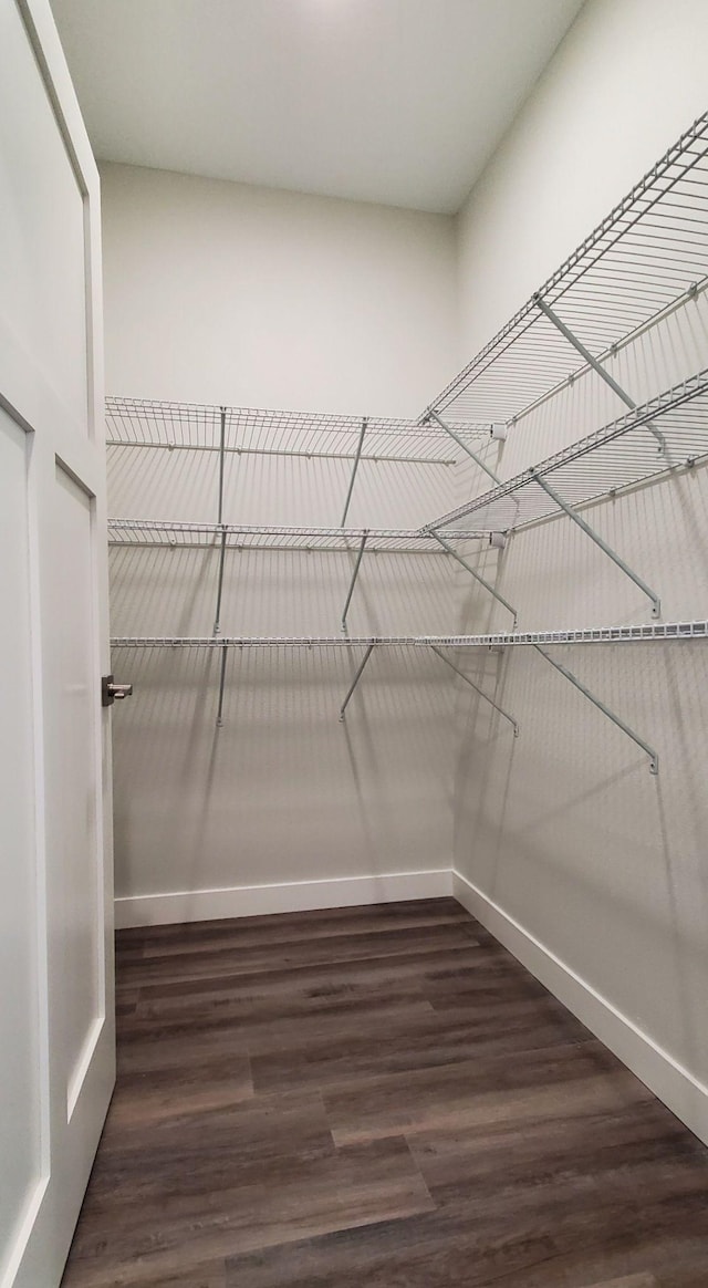 spacious closet featuring dark wood-type flooring