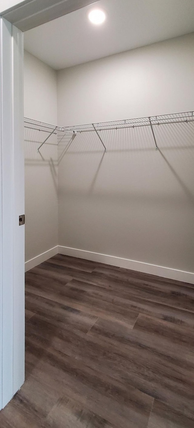 walk in closet with dark hardwood / wood-style floors