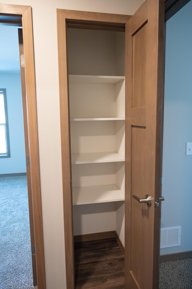 view of closet