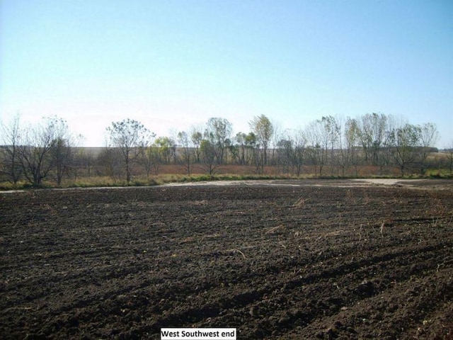 view of yard with a rural view