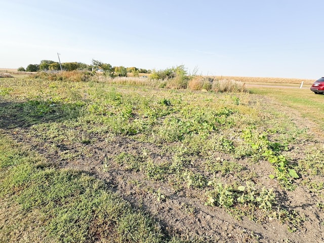 view of yard featuring a rural view