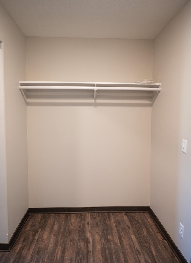 walk in closet with dark hardwood / wood-style floors