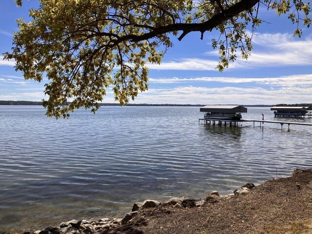 238XX Lake Shore Dr, Glenwood, MN 56334 - photo 2