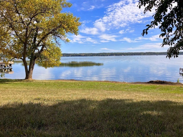 238XX Lake Shore Dr, Glenwood MN, 56334 land for sale