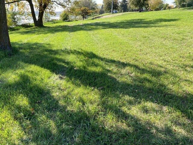 238XX Lake Shore Dr, Glenwood, MN 56334 - photo 8