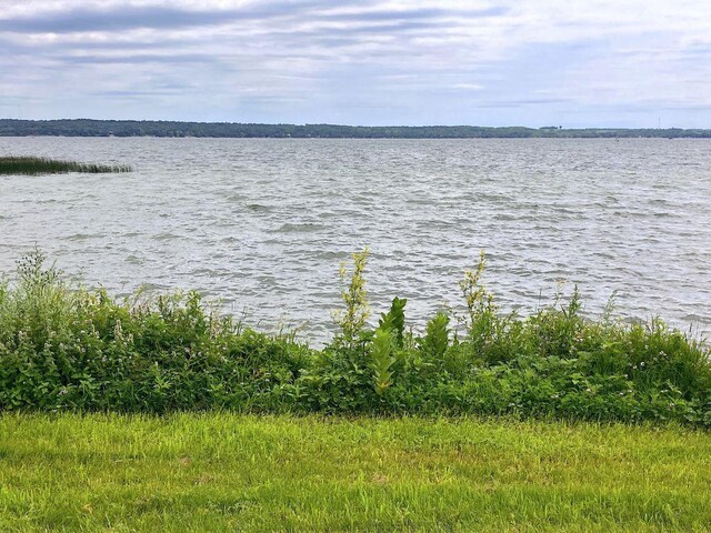238XX Lake Shore Dr, Glenwood, MN 56334 - photo 6