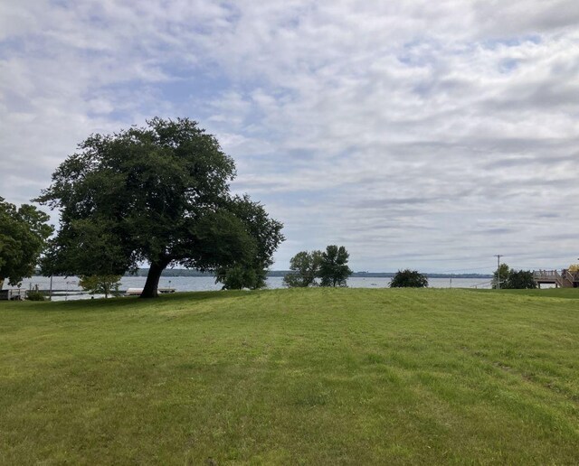 238XX Lake Shore Dr, Glenwood, MN 56334 - photo 15