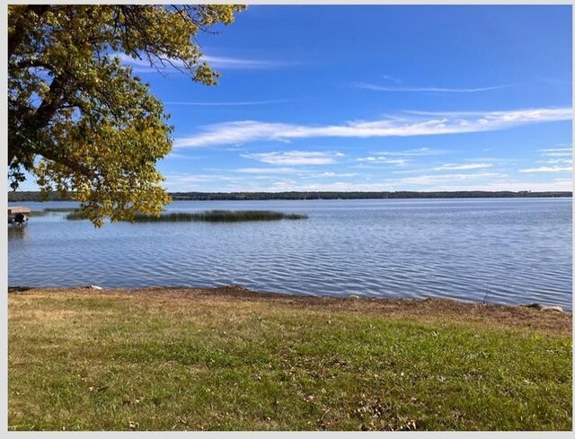 238XX Lake Shore Dr, Glenwood, MN 56334 - photo 22