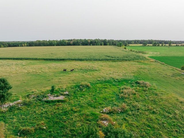 bird's eye view featuring a rural view