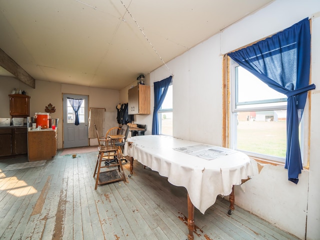 playroom with plenty of natural light and light hardwood / wood-style flooring