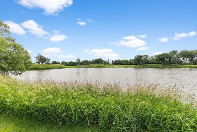 17680 Bearpath Trl, Eden Prairie, MN 55347 - water view
