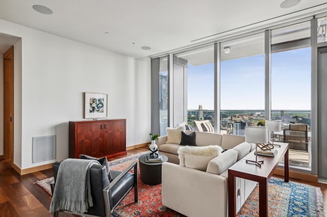 living room with expansive windows, dark hardwood / wood-style floors, and a wealth of natural light