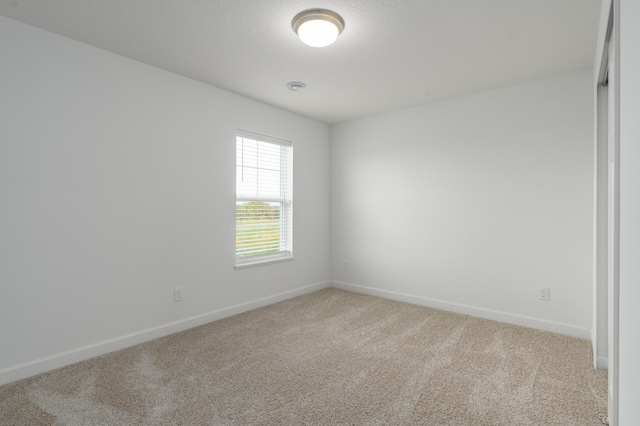 spare room with light carpet