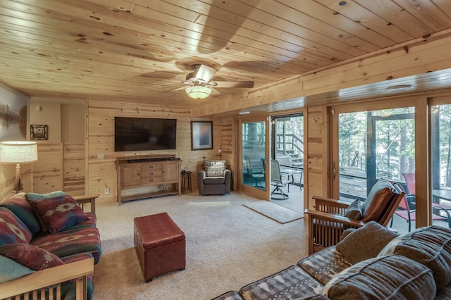 carpeted living room with ceiling fan, wood ceiling, and wood walls