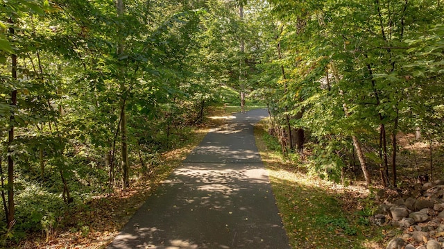 8607 Nottingham Rd, Lake Shore, MN 56468 - view of road with a forest view