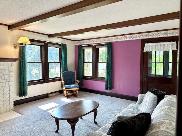 39534 92nd Ave, Onamia, MN 56359 - carpeted living area with beam ceiling, a textured ceiling, healthy amount of natural light, and baseboards