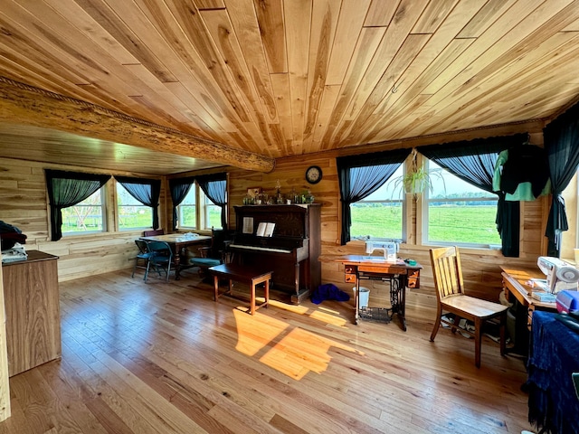 interior space with light hardwood / wood-style flooring, a wealth of natural light, and wooden ceiling