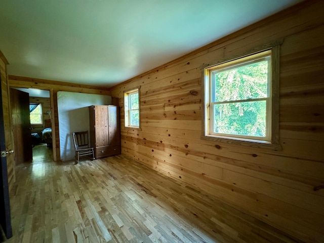 empty room with a healthy amount of sunlight and light hardwood / wood-style floors